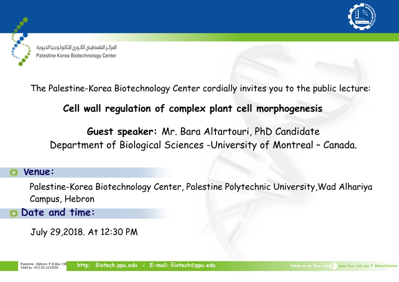 Lecture on cell wall regulation of cellular morphology of the composite cell