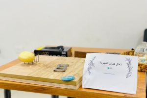 فعاليات يوم العلاج الوظيفي العالمي 27/10/2024