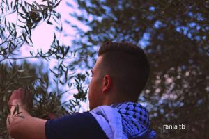 Palestine Polytechnic University (PPU) - مشاركة طلبة جامعة بوليتكنك فلسطين في فعالية قطف الزيتون