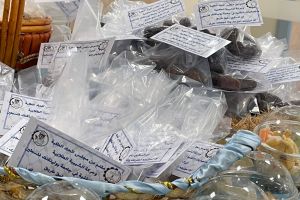 Palestine Polytechnic University (PPU) - كلية الطب وعلوم الصحة بجامعة بوليتكنك فلسطين تنظم فعّاليات "نوفمبر الأزرق" اليوم التوعوي الصحي لمرض السكري وسرطان القولون