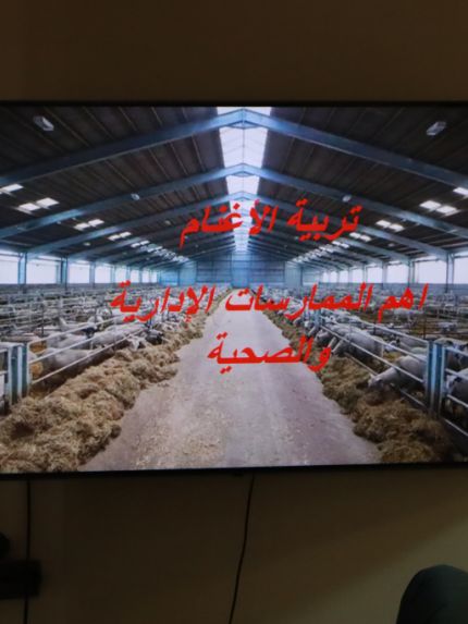 Palestine Polytechnic University (PPU) - جامعة بوليتكنك فلسطين تنظم ورشة تدريبية مُتخصصة في مجال البيطرة وصحة الغذاء لدعم الثروة الحيوانية والامن الغذائي